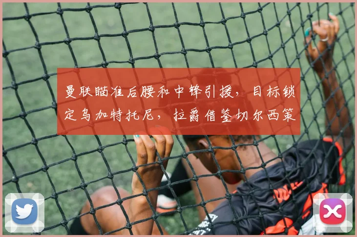 曼联瞄准后腰和中锋引援，目标锁定乌加特托尼，拉爵借鉴切尔西策略