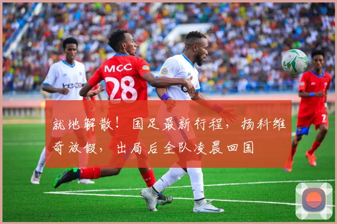 就地解散！国足最新行程，扬科维奇放假，出局后全队凌晨回国