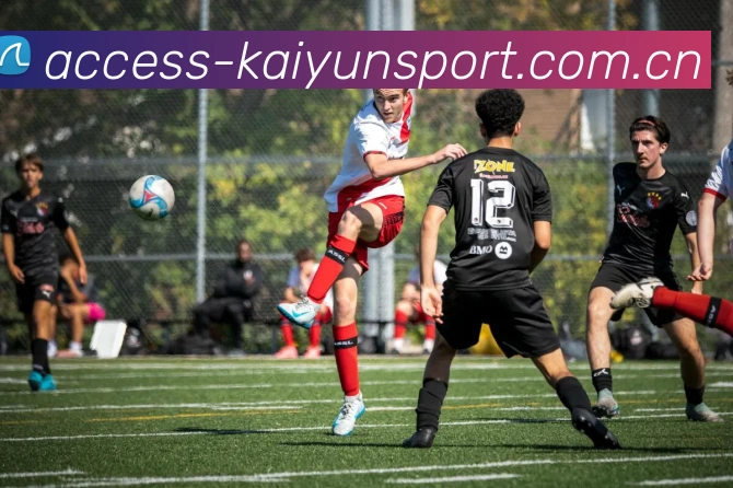 开云体育平台生态图