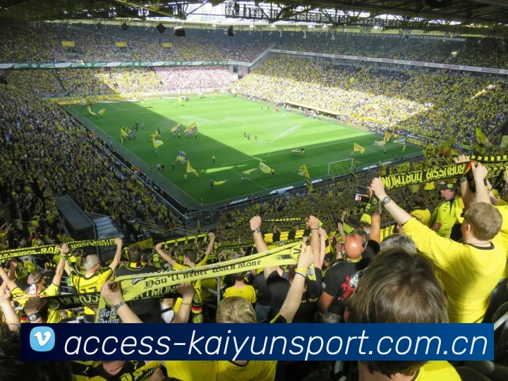 奖项4